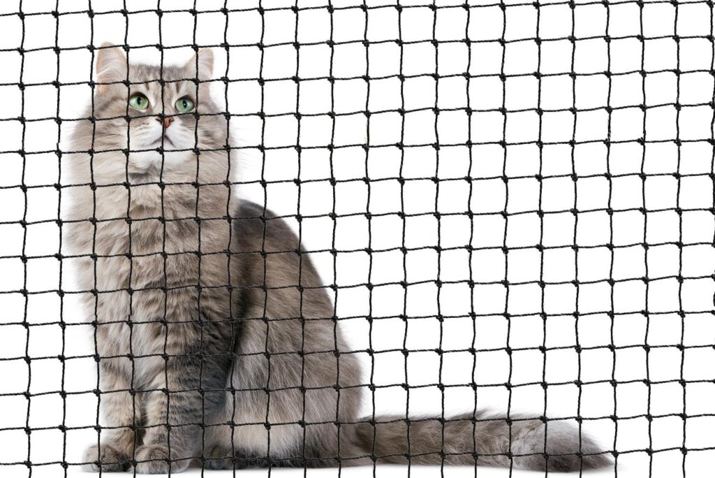 Cat Netting in Dubai